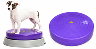 TotoFit K-9 KORE BISkit™ – Balancepude med base til hund